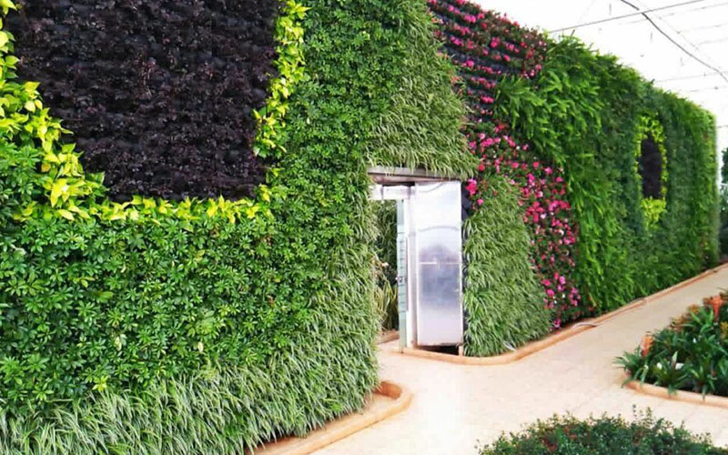 植物墙能美化环境